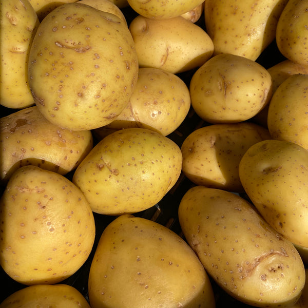Aardappel boer Ceulen