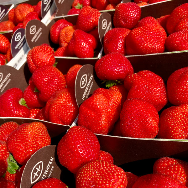 Aardbeien Extra Holland