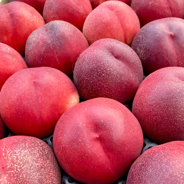 Nectarines Geelvlezig