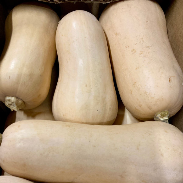 Flespompoen (Butternut)