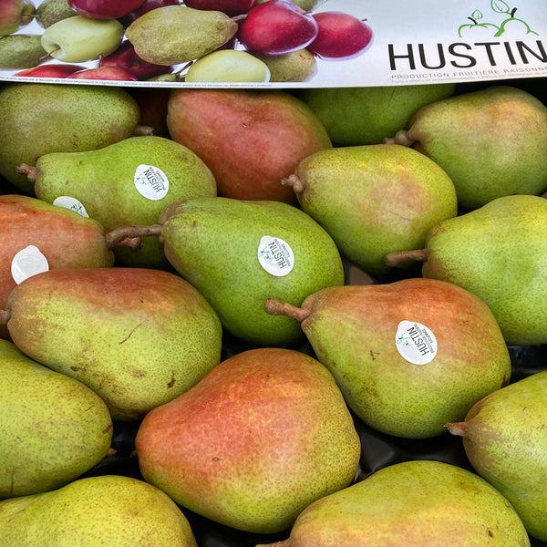 Doyenne du Comice  Peren Extra!