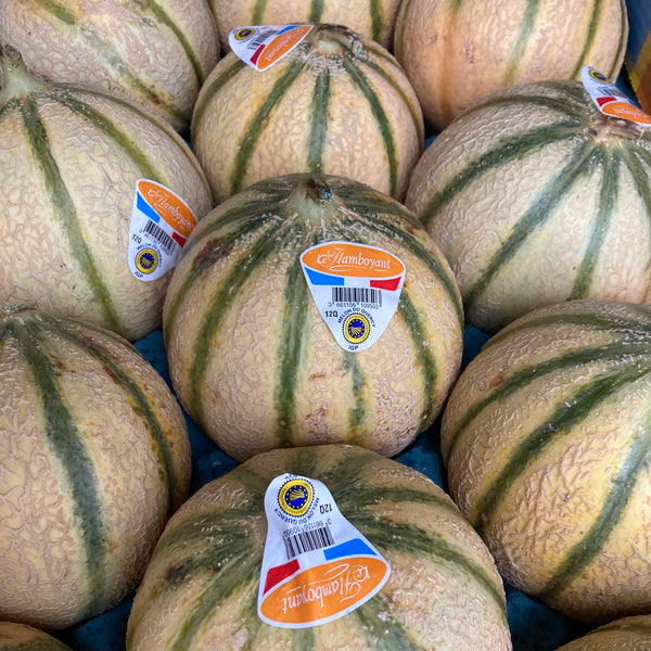 Melon Cavaillon