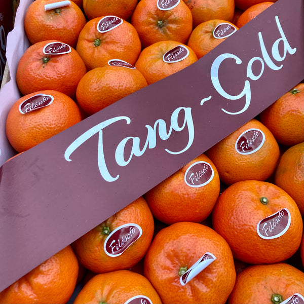 Clementines Tangold