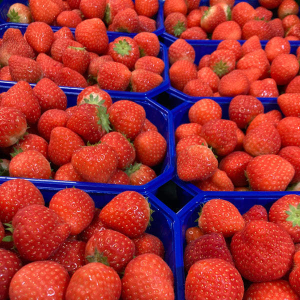 Aardbeien Holland/België Kas!